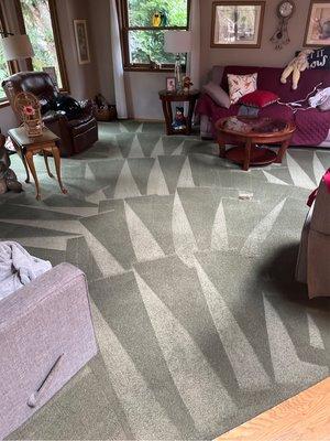 Carpet cleaning, maple valley