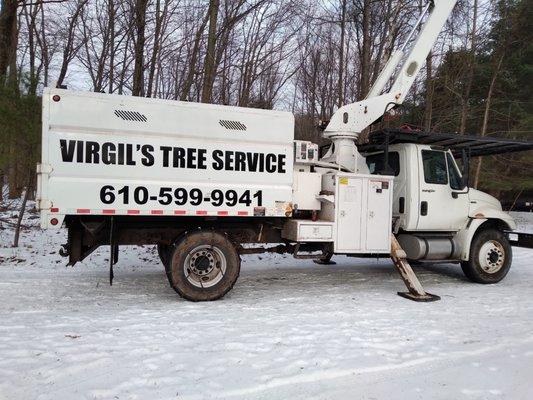 Virgil's Tree Service