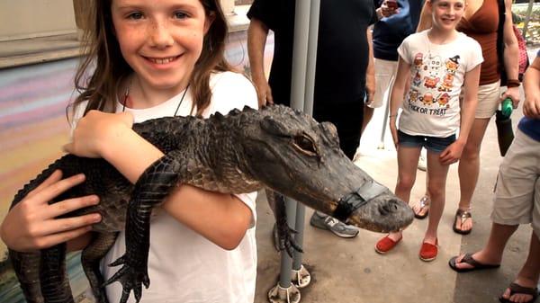 Child holding baby gator at Everglades Holiday Park.