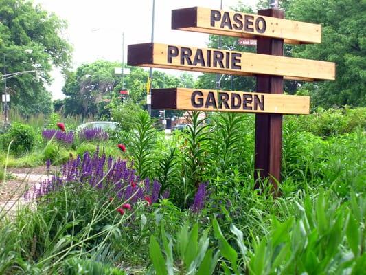 A community built garden in Logan Square, Chicago.