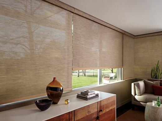 Designer Screen Shades in the Bedroom