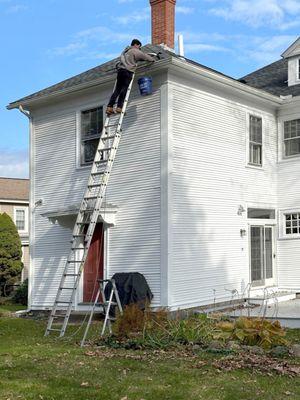 Busy Bee Window & Gutter Cleaning