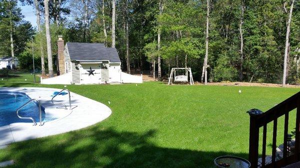 New lawn and irrigation system