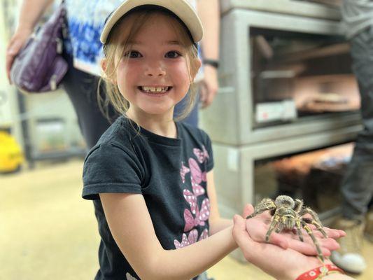 My spider averse daughter holding a Tarantula