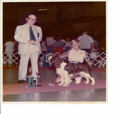 My first show dog CH Bushlo's Arion CDX TD
  Nice win.... so many years ago. The first of 15 Champion Kalero English Springer Spaniels.