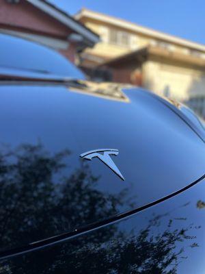 Tesla Looking Like A Mirror