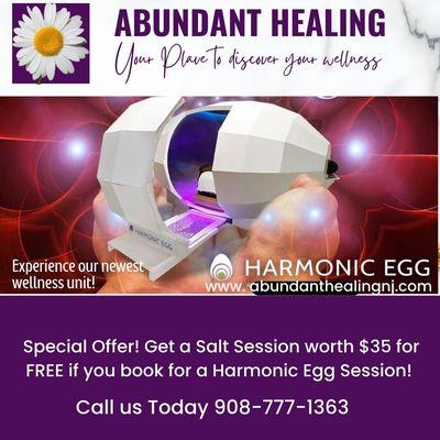 The Harmonic Egg was created to promote mental, emotional, physical and spiritual healing and wellness.