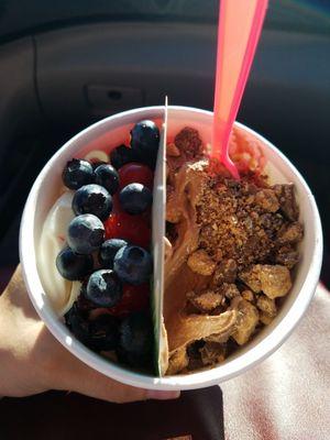 Half White Chocolate topped with blueberries and cherries and half Chocoholic topped with reese's PB cup chunks