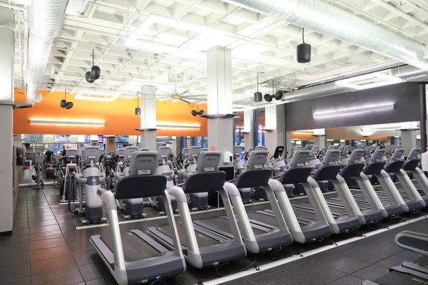 Cardio Area