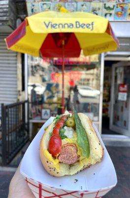 Chicago dog