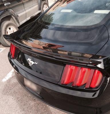 Roush spoiler placed perfectly on Mustang, the work speaks for itself.