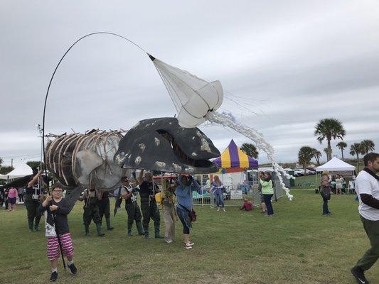 A right whale human float!