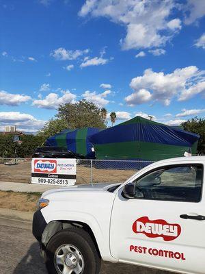 Dewey Pest & Termite Control Fumigation with the Colton office.