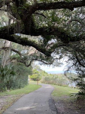 Path next to the Matanzas River