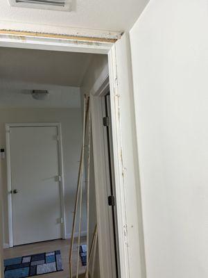 Door and jamb removal