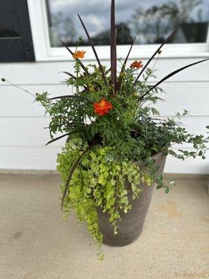 Beautiful Fall Planters on sale now! Call Longleaf Outdoors to schedule your visit today!