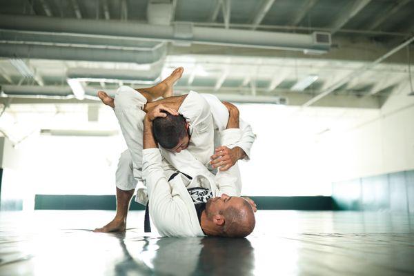 Gracie Combatives Self-Defense jiu jitsu