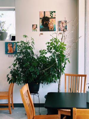 Inside dining area.