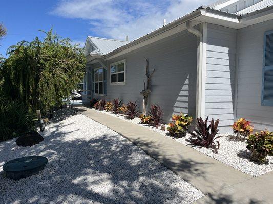 New Walkway and accent plants