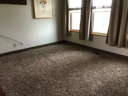 Clean carpet, that's what it's all about!