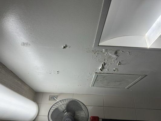 Shower ceiling rot/leak