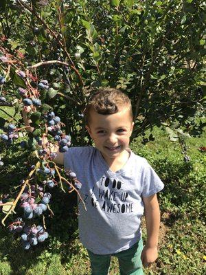 Loving life. Blueberries are his favorite!