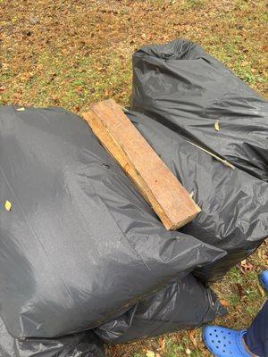 Mold ripped from under the house left in the yard :)