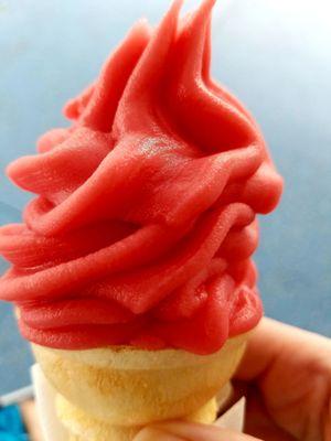 Watermelon kiddie cone