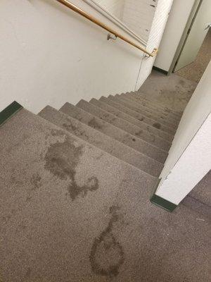 glad photos don't have scent! Mold, urine from dogs having to take stairs because most elevators have been down 3 weeks since 8.7 flood!