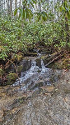 Boone Fork Trail | Instagram: @telephonesmoothie