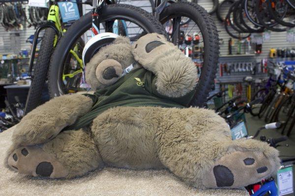 Shop Bear just hanging out & saying hey as you come on in!