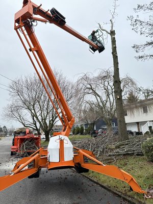 Tree removal