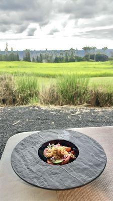 Tomato Salad - Waimea & Lanai tomatoes, cucumber kimchi, shallots, panko