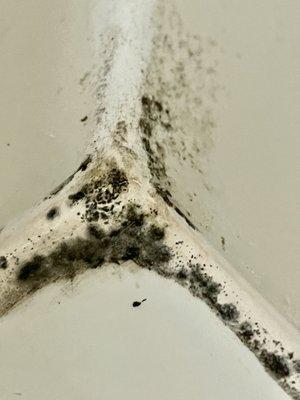 Mold in bathroom