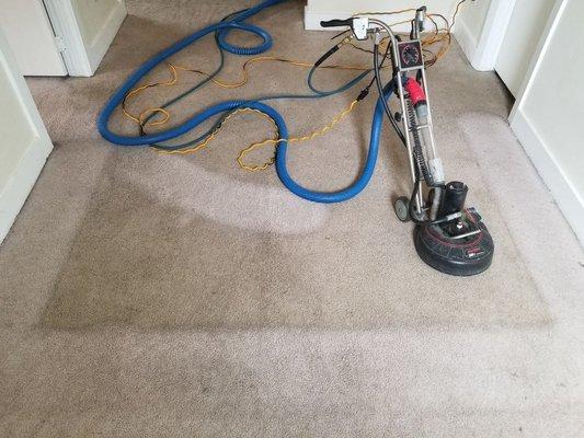 Carpet restoration with the rotovac