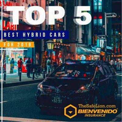 Did you know? The top 5 hybrid cars in 2019 where the following: 
1. Toyota Prius V 
2. Hyundai Sonata Hybrid 
3. Toyota Cambry Hybrid