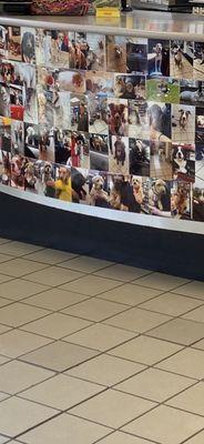 The famous "wall of dogs" - so koot