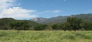 ...in beautiful Ojai Valley