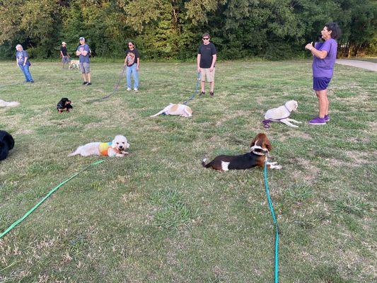 Group classes at the park 99% of the time