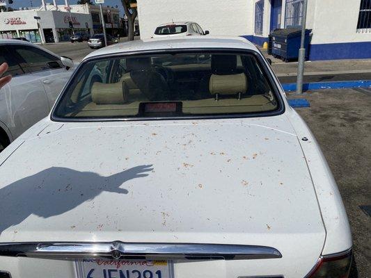 The yellow permanent damages from shell car wash at Santa Monica Blvd and federal . Don't go here !!!!!shame on you Danny