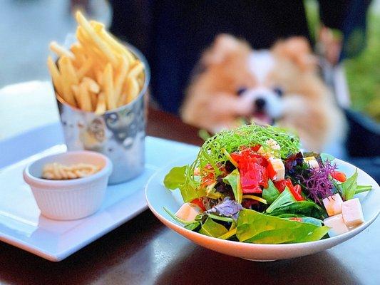 COVID OUTDOOR DINING (B4 SIP): Fries w/ kewpie + okonomi sauce | $6.50 (side salad part of the Katsu curry)