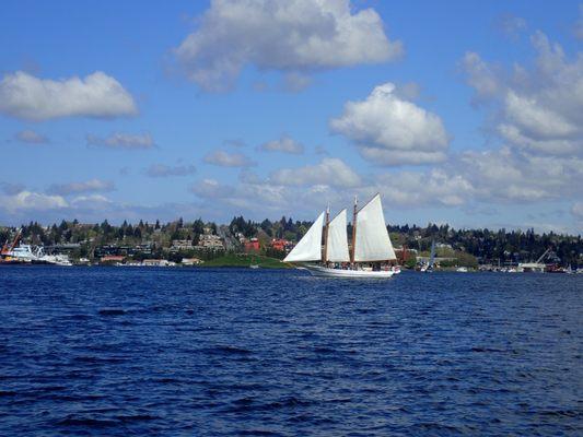 Schooner Lavengro on Lake Union