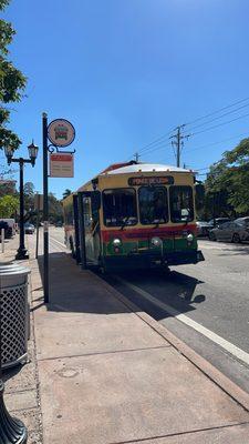 trolley bus on Ponce de Leon Blvd near stop