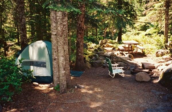 Cougar Rock Campground:  campsite