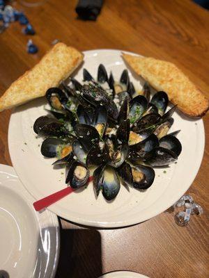 Mussels