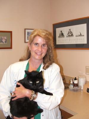 Fox Ridge Veterinary Clinic