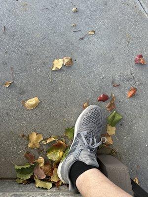 12/02/23 sitting on the stairs waiting for my Nutella croissant and cold brew with horchata cold foam. 64F 11:49am