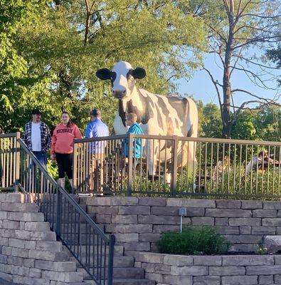 Cow statue in picnic area