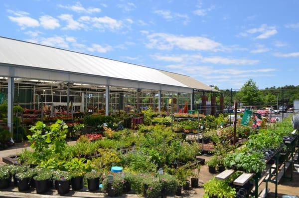 Garden Center