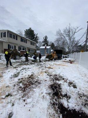 Remove a fallen tree over the house